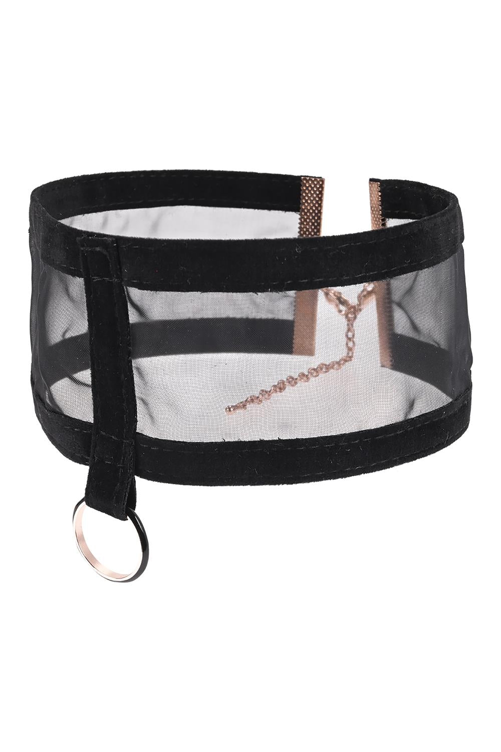 Sex & Mischief  -  Sheer day Collar