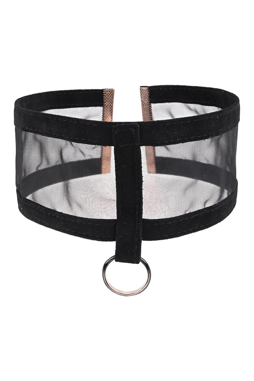 Sex & Mischief  -  Sheer day Collar