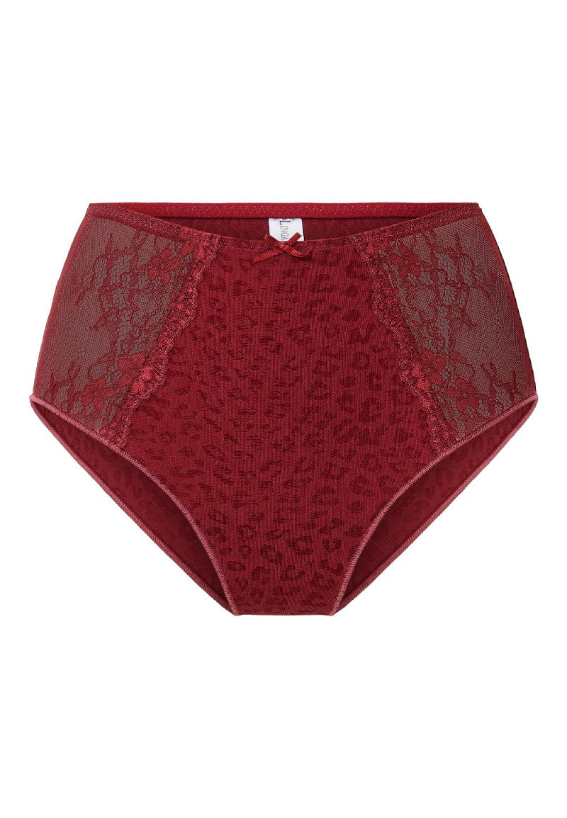 Daily Taille Slip – Comfortabele Hoge Slip met Stijlvolle Pasvorm, diverse kleuren, inclusief Plus asize