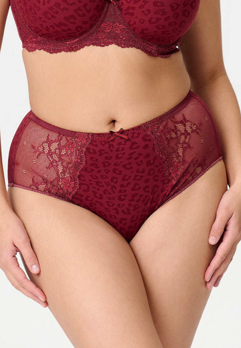Daily Taille Slip – Comfortabele Hoge Slip met Stijlvolle Pasvorm, diverse kleuren, inclusief Plus asize