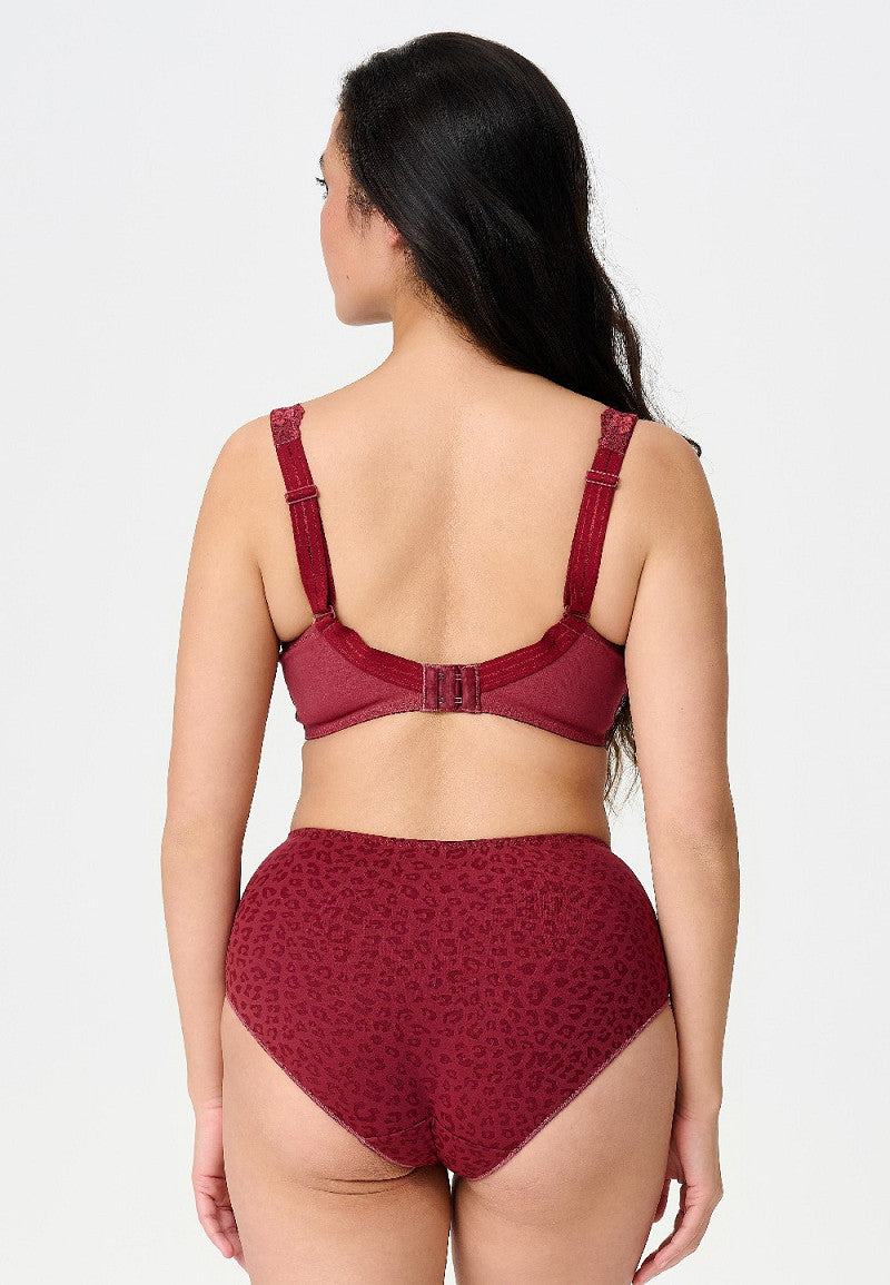 Daily Taille Slip – Comfortabele Hoge Slip met Stijlvolle Pasvorm, diverse kleuren, inclusief Plus asize