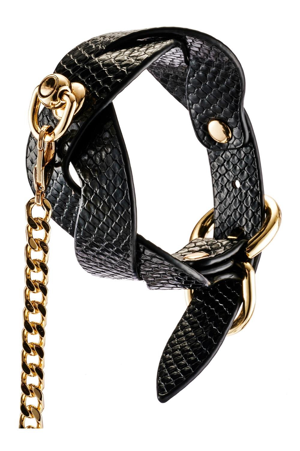 Lunar Leash And Collar
