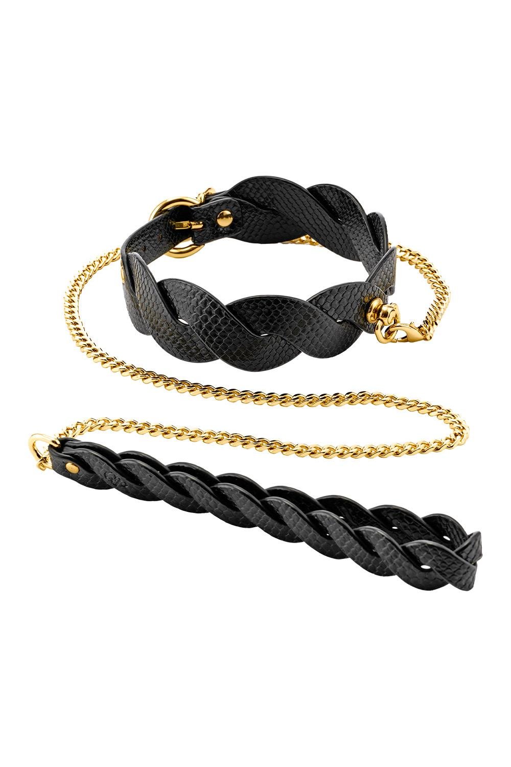 Lunar Leash And Collar