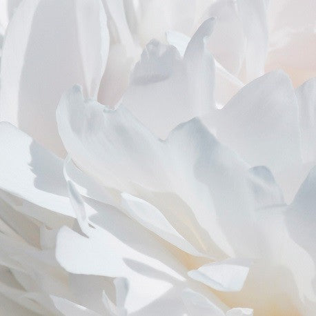 Yodeyma Valia Eau de Parfum