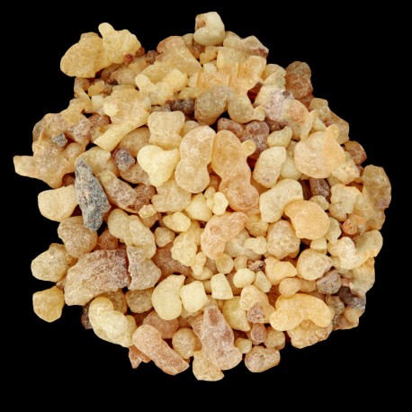 Yodeyma Dinara Eau de Parfum