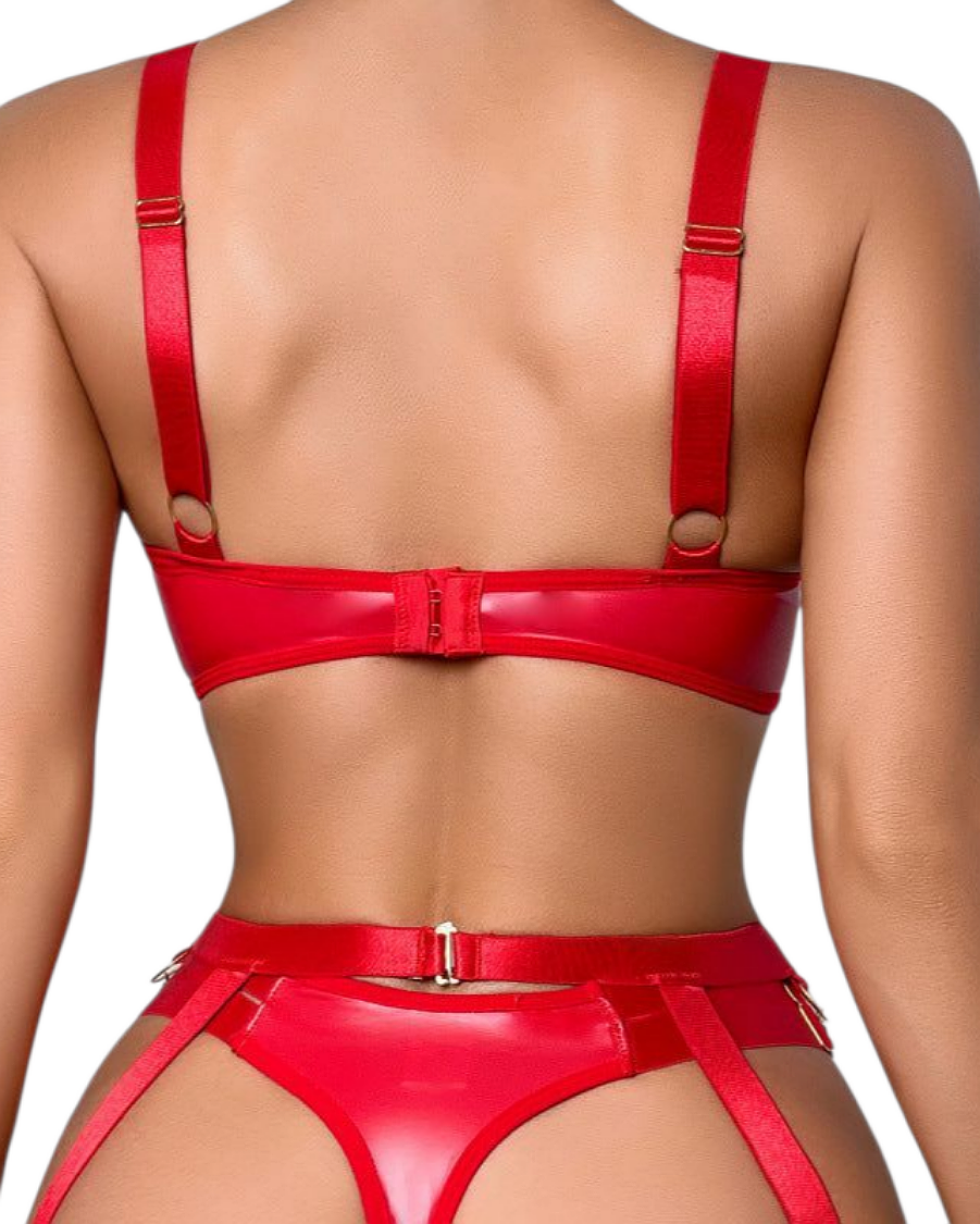 Chiara_rode_complete_lak_lingerie_set_back_missqlingerie