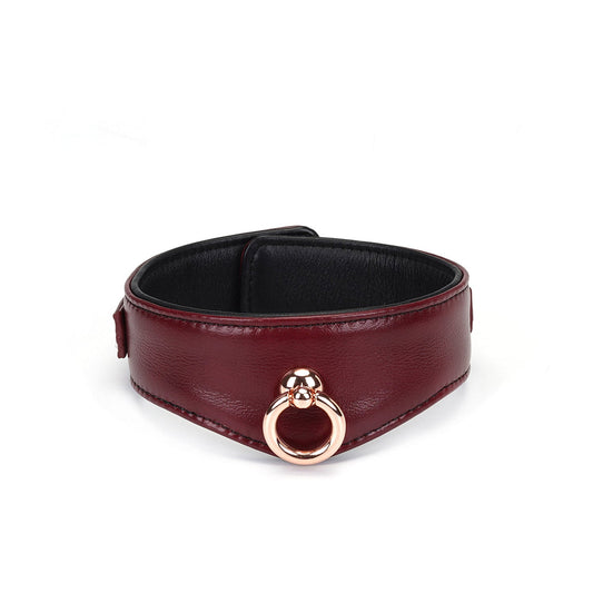 Liebe Seele Wine Red Leather Collar met Leash