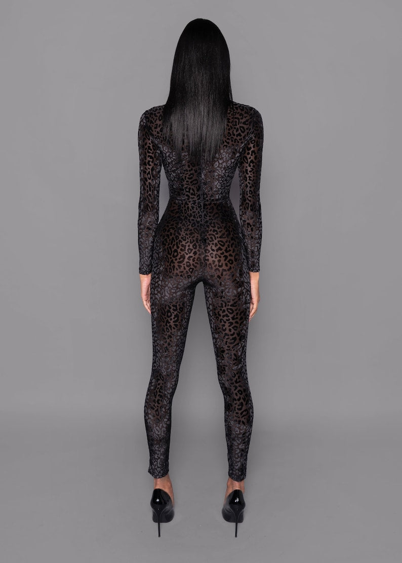 Quteness - Leo - Catsuit