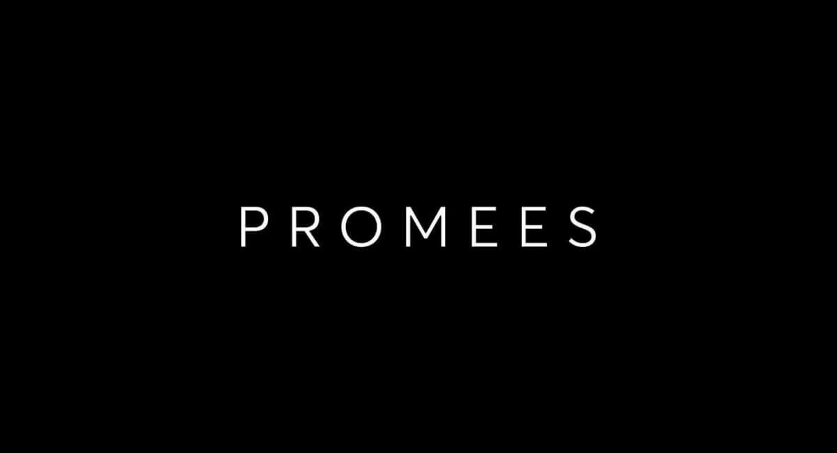 Promees - Agnes - Choker Harnas